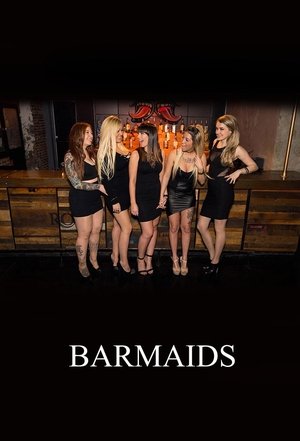 watch barmaids tv show poster