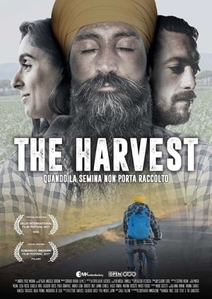 Póster de la película The Harvest