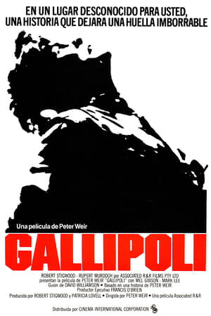 Póster de la película Gallipoli