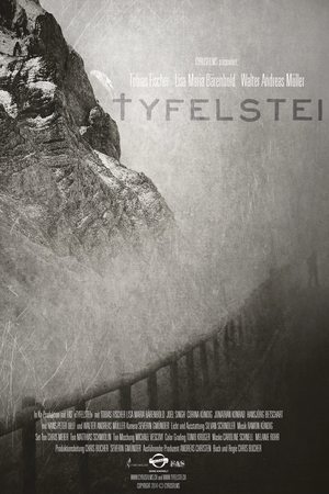 Póster de la película Tyfelstei