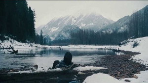 The Grey