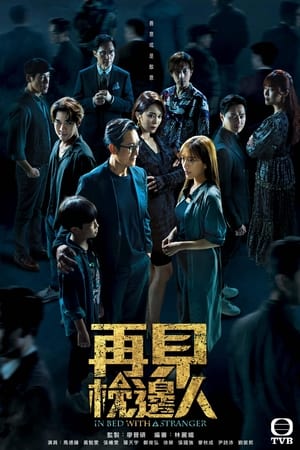 Póster de la serie 再見•枕邊人