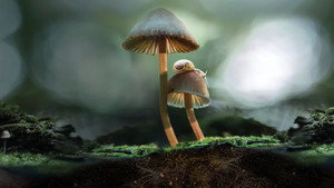 Background