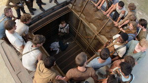The Maze Runner