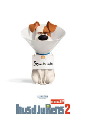 123moVies-{*[HD]*}   -*  WatCH The Secret Life of Pets 2 FuLL MOVIE and Free Movie Online  -* 