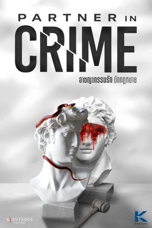 watch partner in crime tv show poster