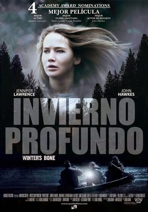 Póster de la película Winter's Bone