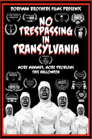 No Trespassing In Transylvania
