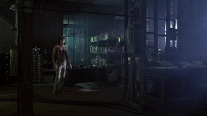 The Fly