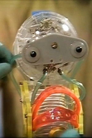 Default Netflix logo