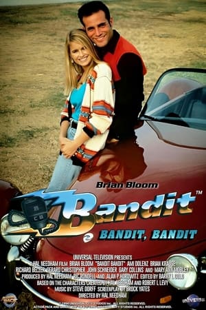 Póster de la película Bandit Bandit