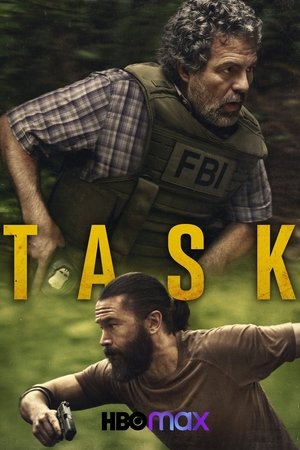 Póster de la serie Task