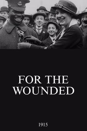 Póster de la película For the Wounded