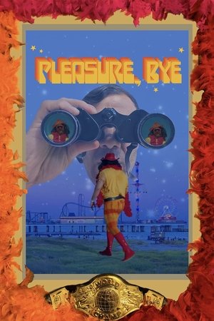 watch pleasure, bye movie poster