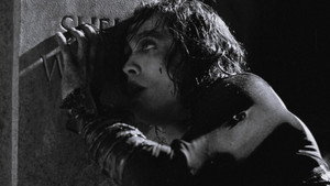 The Crow