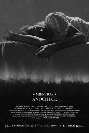 Póster de la película Mientras Anochece