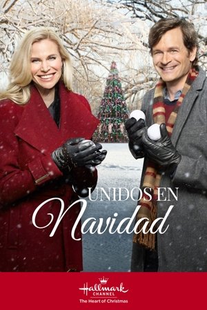 Póster de la película Juntos por Navidad