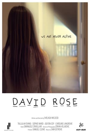 Póster de la película David Rose