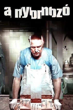 Póster de la película A nyomozó