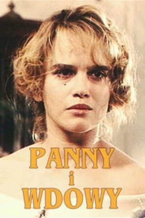 Póster de la serie Panny i wdowy