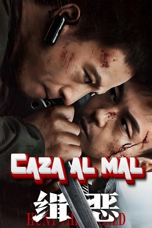 Póster de la película Caza al mal