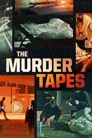 Póster de la serie The Murder Tapes