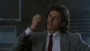 The Fly