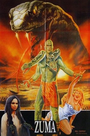 Póster de la película Zuma