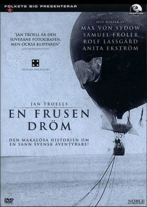 Póster de la película En frusen dröm