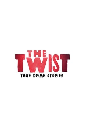 Póster de la serie The Twist