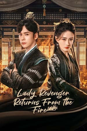 Póster de la serie Lady Revenger Returns From the Fire