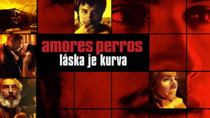 Amores perros