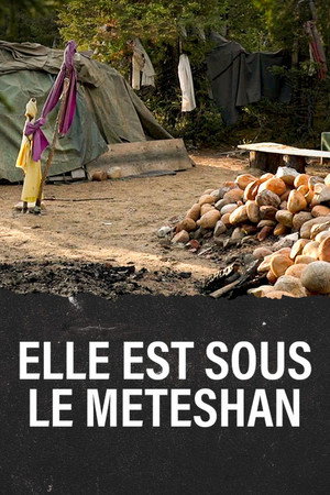 Póster de la película Meteshu innushkueu