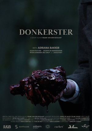 Póster de la película Donkerster