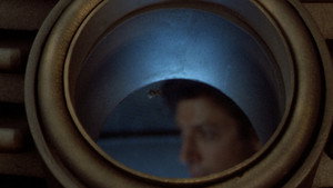 The Fly