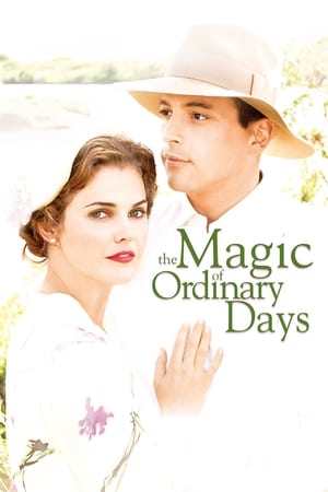 Póster de la película The Magic of Ordinary Days