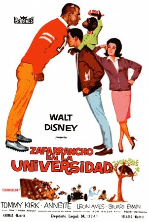 Póster de la película Zafarrancho en la universidad