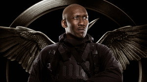 The Hunger Games: Mockingjay - Part 1