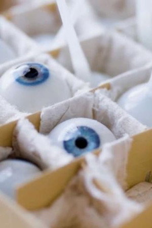 The Last Glass Eye Maker