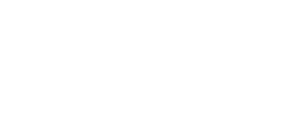 Mosquito