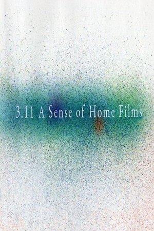 Póster de la película 3.11 A Sense of Home