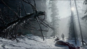 The Revenant