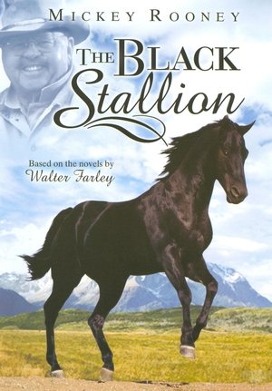 Póster de la película Adventures of the Black Stallion