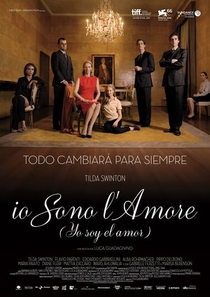 Póster de la película Yo soy el amor