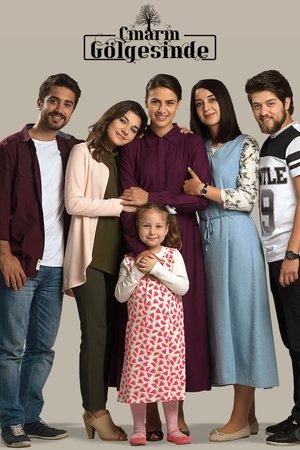watch çınarın gölgesinde tv show free online poster