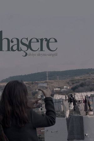 Haşere