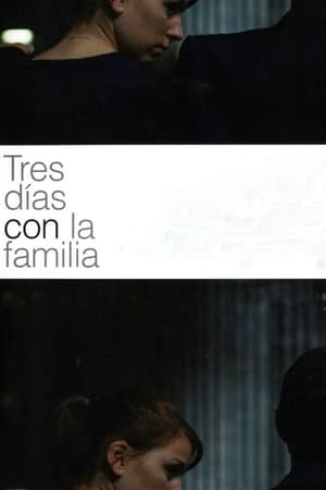 Póster de la película Tres días con la familia