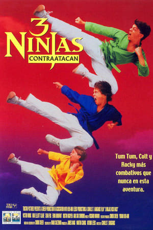 Póster de la película 3 ninjas contraatacan