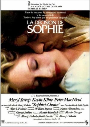 Póster de la película La decisión de Sophie