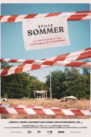 Póster de la película Stille Sommer